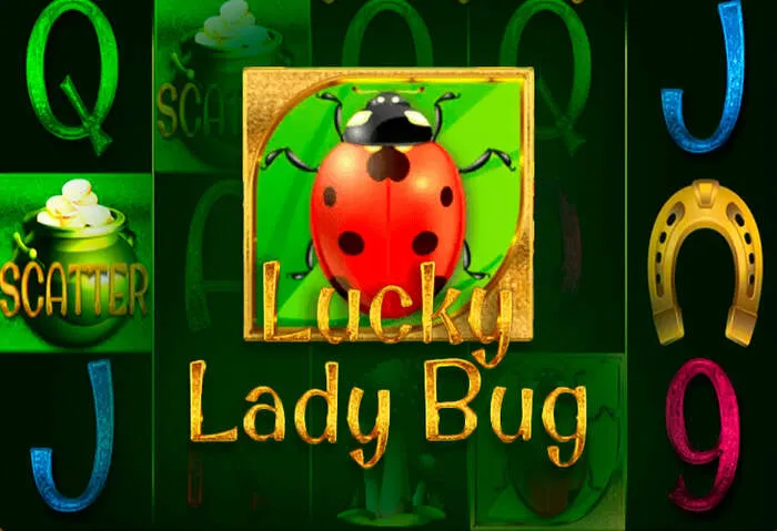 Sicheres Spielen bei Spinny Casino Bonus und Promotionen.