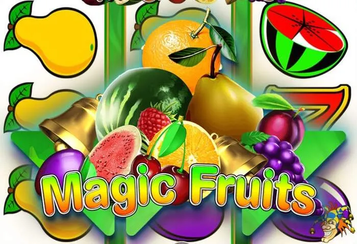 Explore new Spinny Casino Bonus and Promotions offers