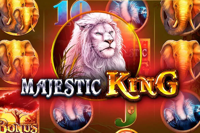 Secure Spinny Casino Login for account access
