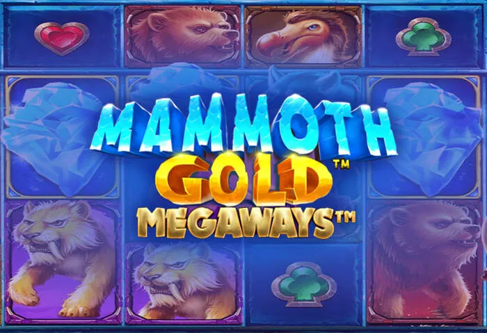Activate Spinny Casino Free Spins and Reload Bonuses