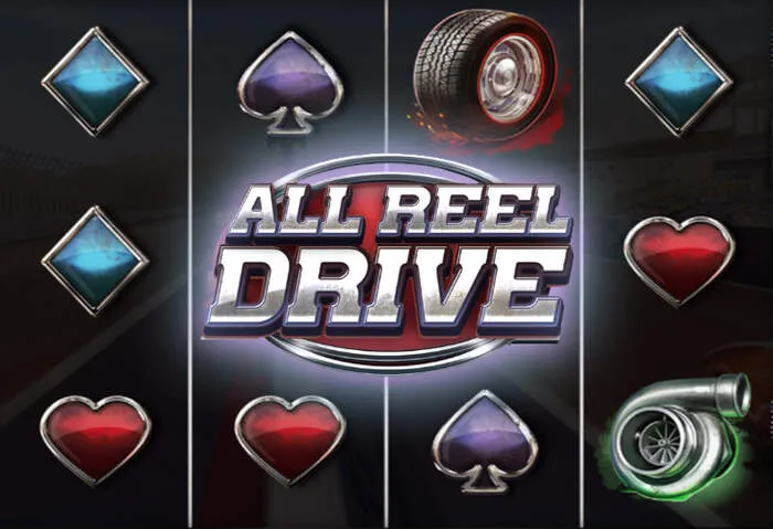 Esperienza di gioco mobile fluida con l'app ufficiale Spinny Casino