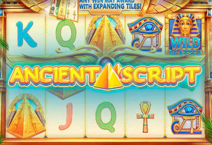 Celebrate wins with Spinny Casino Bonus and Promotions