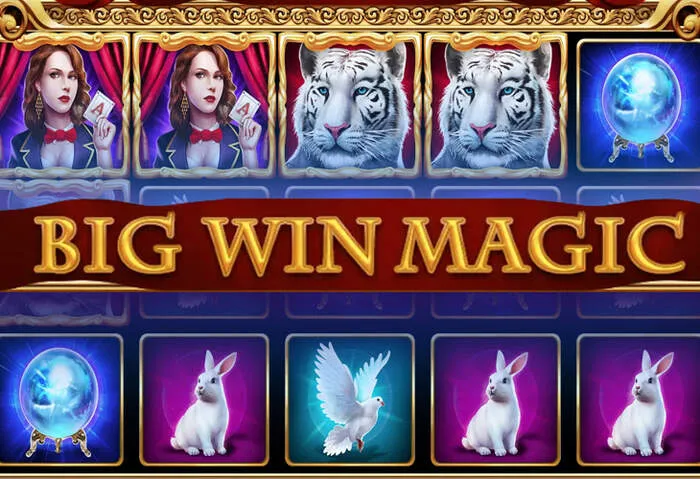 Wichtige Umsatzbedingungen und Bonusbedingungen für Spinny Casino.