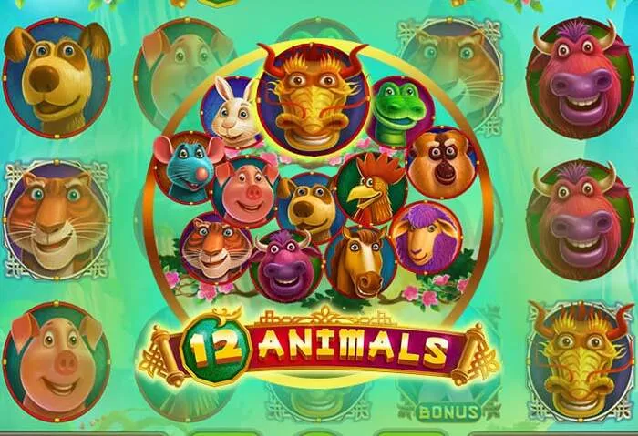 Download Spinny Casino mobile app to play exciting casino games on your phone.